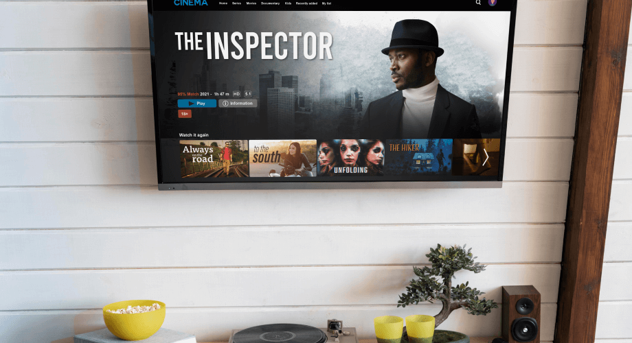Professionally Install a Mounted TV In Your Historic Home